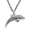 Dolphin Island Books Plus Dolphin Necklace