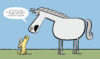 Caballo conoce Perro (Horse Meets Dog)