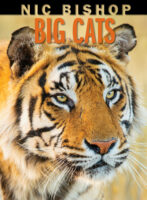 Nic Bishop: Big Cats