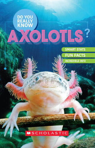 Do You Really Know Axolotls By Samantha Kohn Ellen Rodger Paperback Scholastic Book Clubs