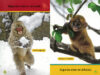 Paquete Lectores de National Geographic Kids™
