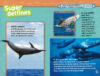 Paquete Lectores de National Geographic Kids™
