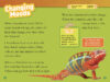 National Geographic Kids™: Animals That Change Color (Level 2 Reader)