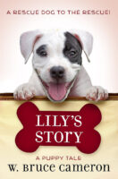 Lily’s Story: A Puppy Tale
