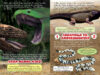 Who Would Win?® Ultimate Reptile Rumble