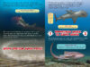 Who Would Win?® Ultimate Small Shark Rumble