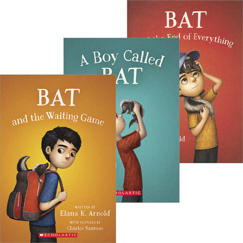 Image result for a boy called bat series