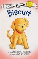 Biscuit