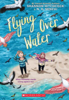 Flying Over Water