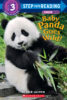 Baby Panda Goes Wild! Book Plus Plush
