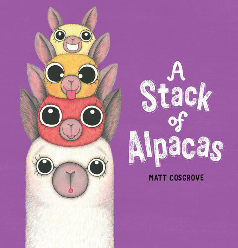 A Stack of Alpacas A Stack of Alpacas