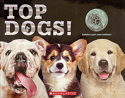 Top Dogs! by C. J. McDonald (Book Plus) | Scholastic Book Clubs