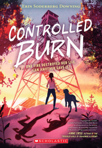 burn book cover