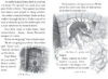 Dragon Masters #1&ndash;#5 Box Set
