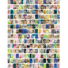 Klutz® Press Sticker Photo Mosaic: Cats & Kittens