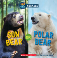 Hot and Cold Animals: Sun Bear or Polar Bear