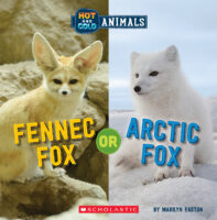 Hot and Cold Animals: Fennec Fox or Arctic Fox