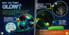 Glow Animals with Squishy