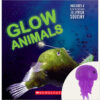 Glow Animals with Squishy