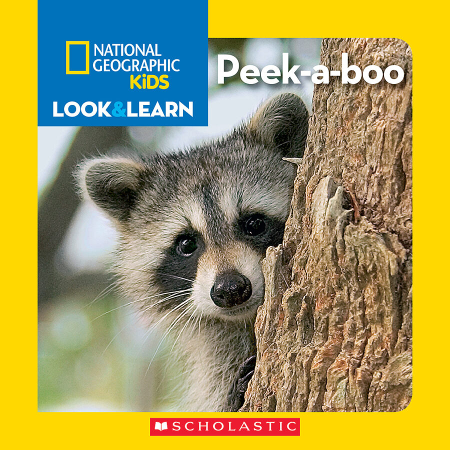 National Geographic Kids™ Look and Learn Concepts Pack (Book