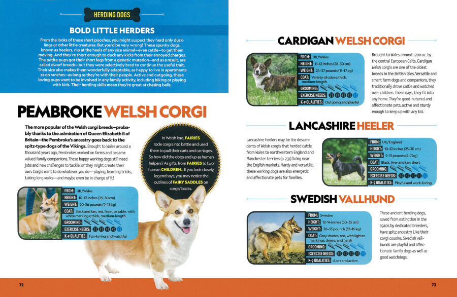 Dog breed guide store