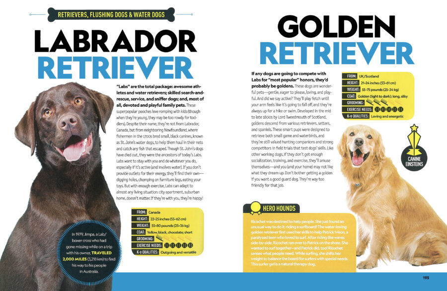 Dog breed guide with discount pictures
