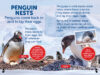 Penguins! with Erasers