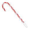 Stocking Stuffer Mad Libs® Plus Candy Cane Pen