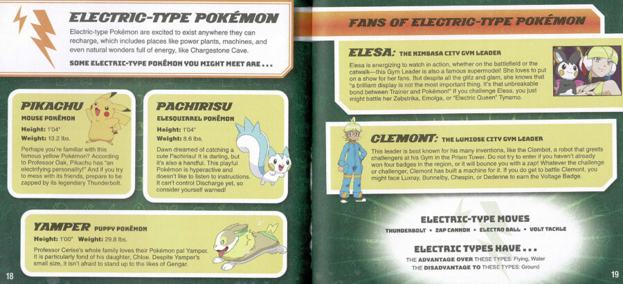 Pokémon™: Guide to Types (Book Plus)