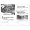 The Last Firehawk Books 1–5 Box Set 