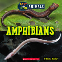 Fast and Slow: Amphibians
