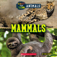 Fast and Slow: Mammals