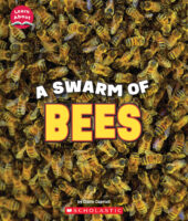 Swarm of Bees, A