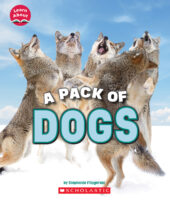 Pack of Dogs, A