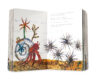 Eric Carle Board Book Pack