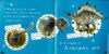 National Geographic Kids™: So Cool! Dinos