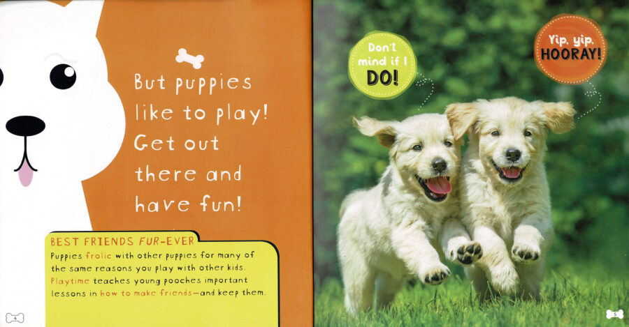 National Geographic Kids™: So Cute! Puppies by Crispin Boyer (Book Plus)