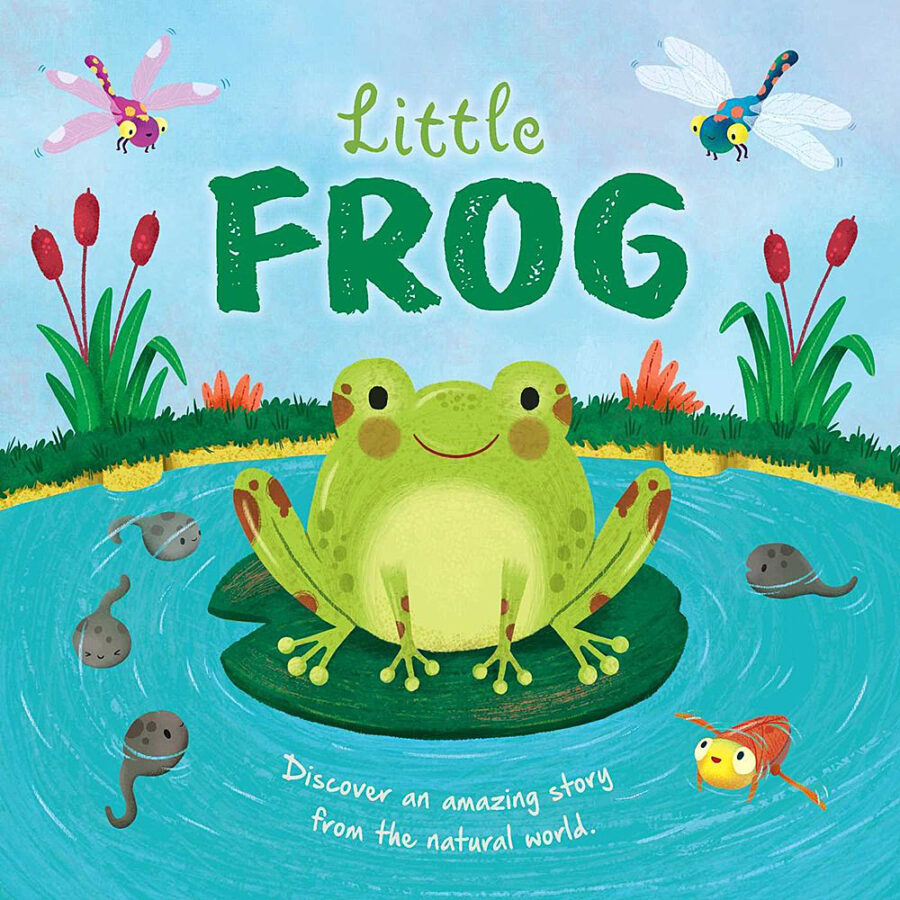 Little Frog by Katie Taylor;Wednesday Jones (Paperback)