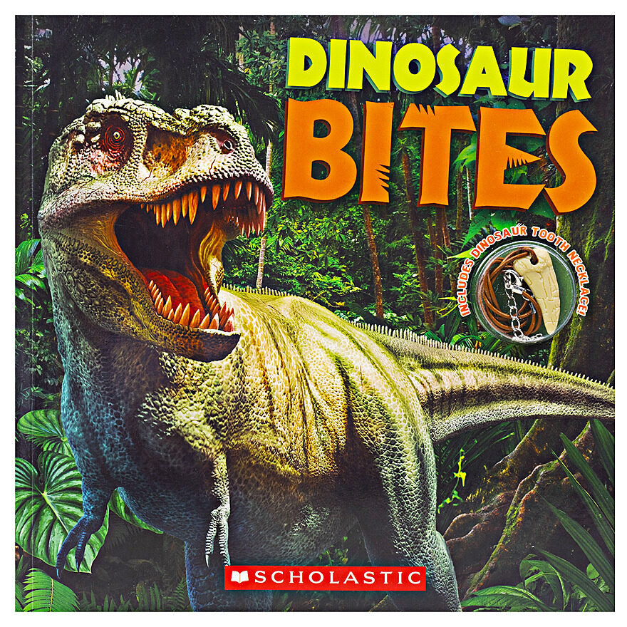 Fuzzy Art Dinosaurs [Book]