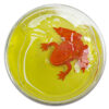 Slimy Frogs with Frog and Slime