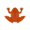 Slimy Frogs with Frog and Slime
