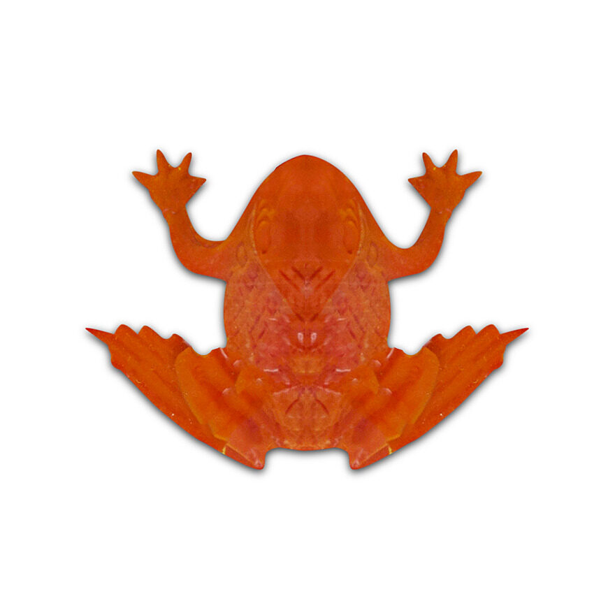 Frog clearance slime toy