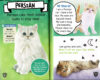 Kittens! with Puzzle Erasers