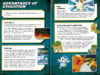 Pokémon™: Ready, Set, Evolve! Handbook with 3D Stickers