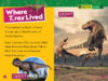 National Geographic Kids™: T. Rex