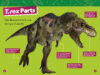 National Geographic Kids™: T. Rex