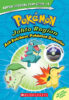 Pokémon™ Super Special Flip Book #4: Johto Region / Kanto Region Plus Poké Ball