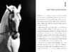World War II Close Up: They Saved the Stallions