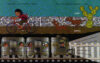 Pura Belpré Collection