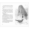 Old Wolf 5-Book Pack